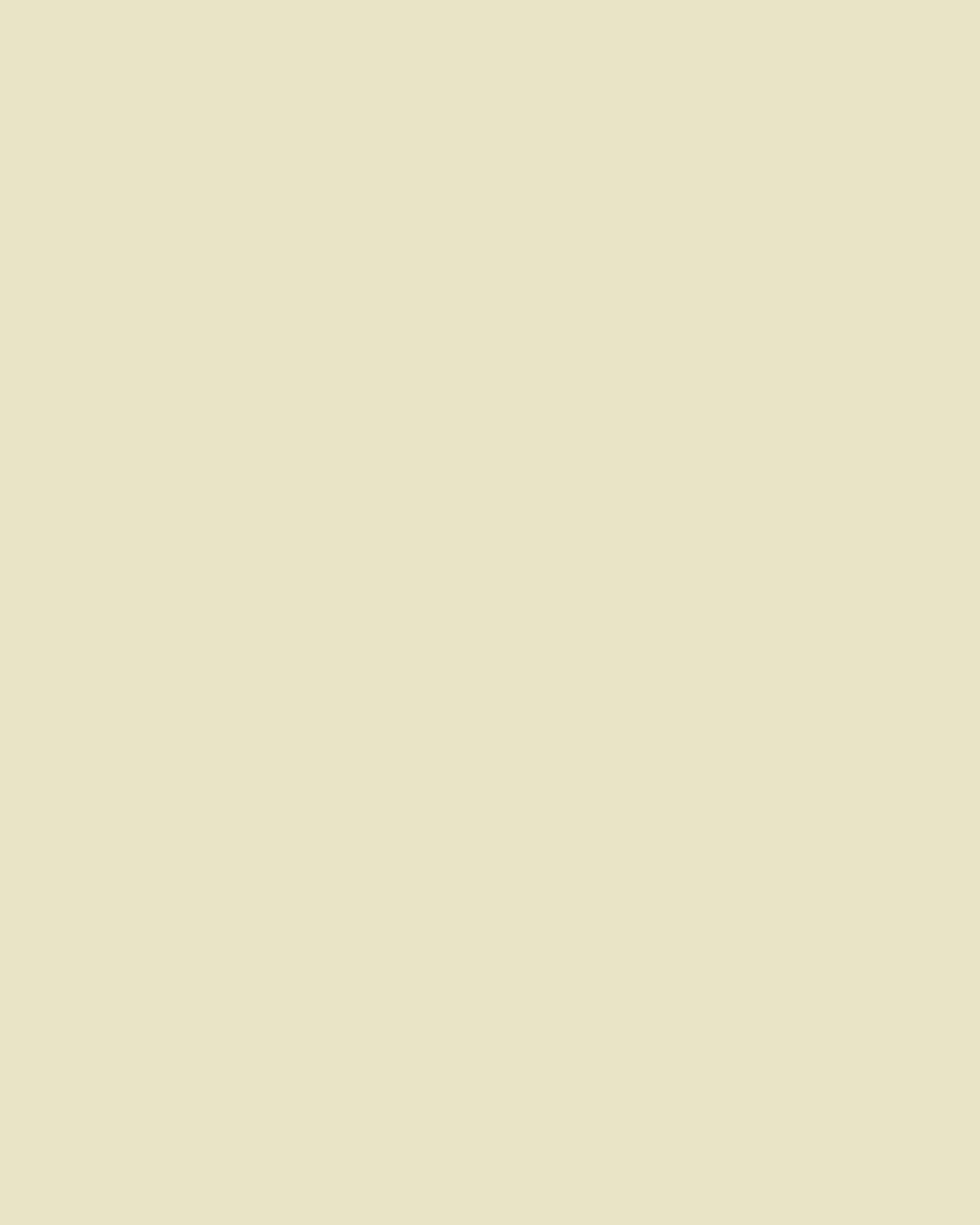 Fine Pure Cotton Satin Petticoat