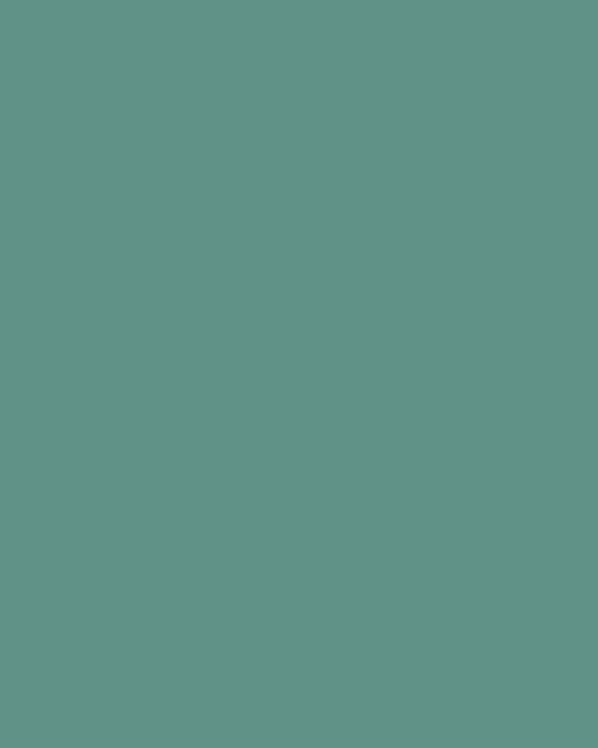 Smooth Modal Satin Petticoat Main image
