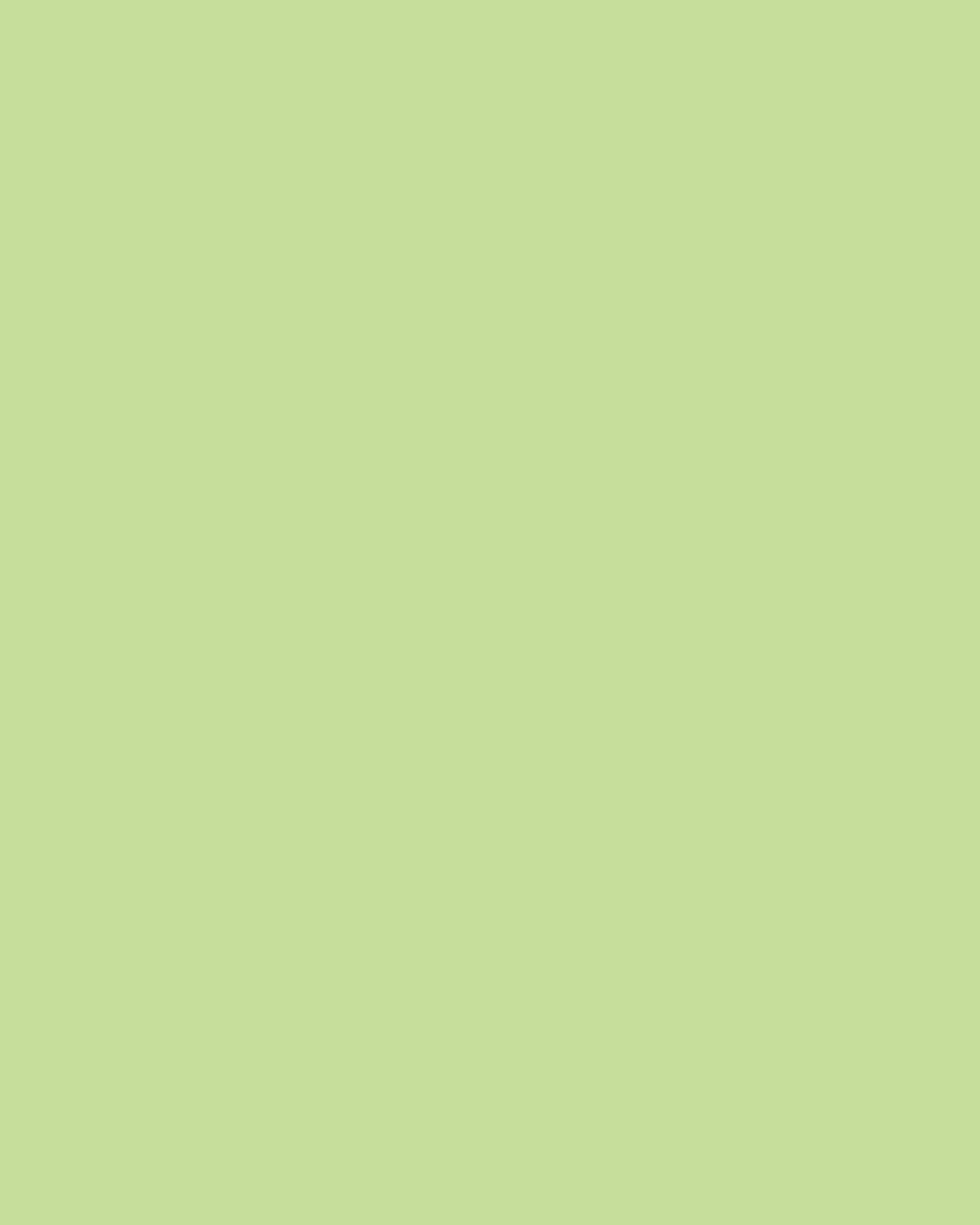Smooth Modal Satin Petticoat Main image