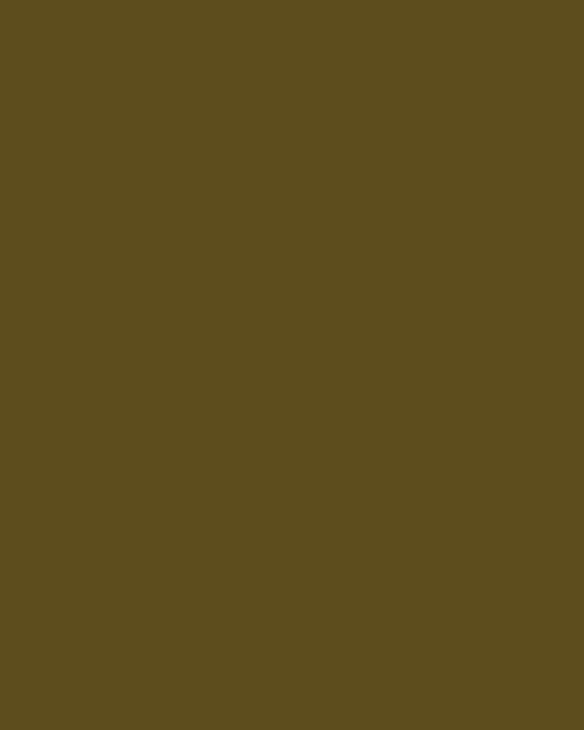 Smooth Modal Satin Petticoat