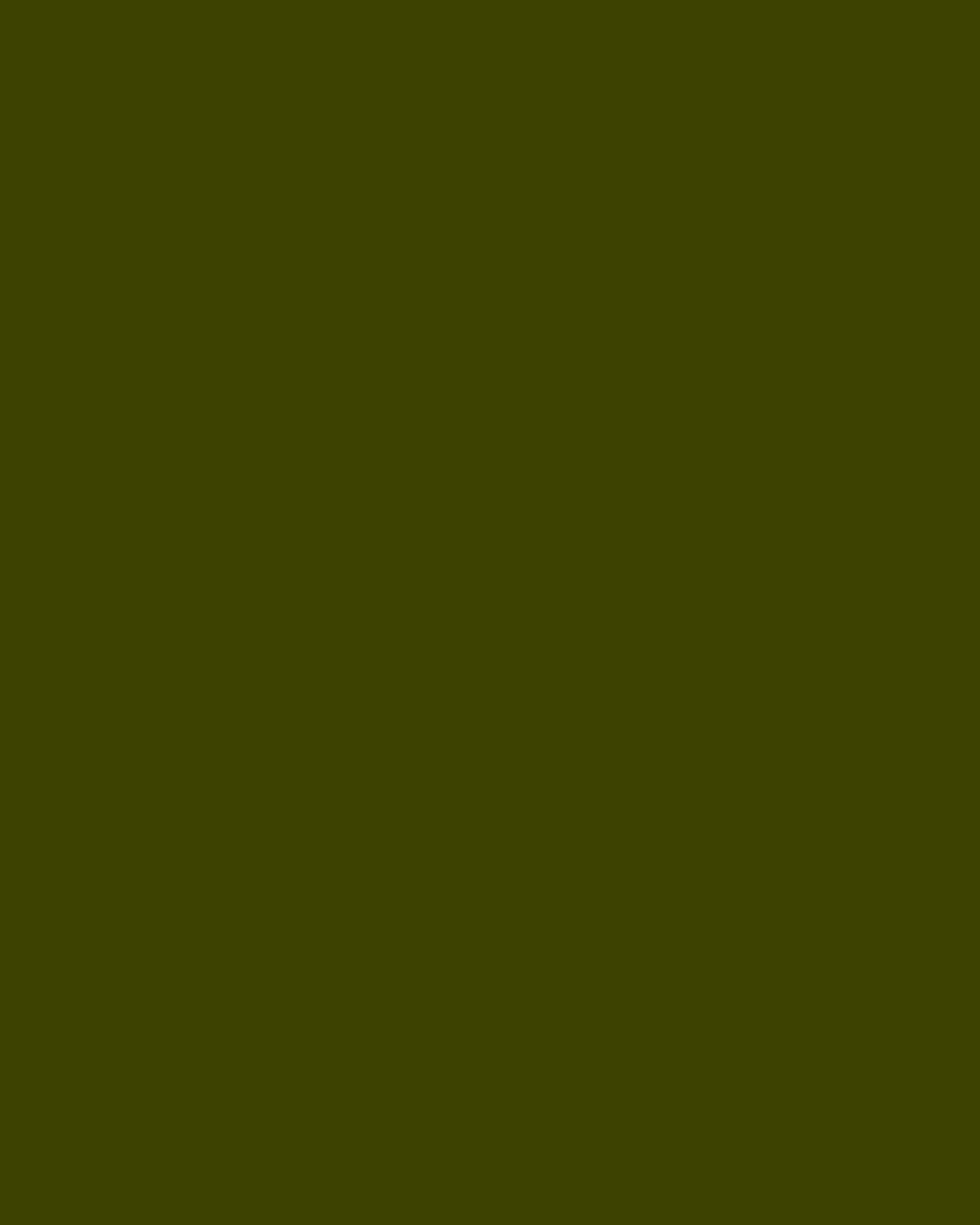 Smooth Modal Satin Petticoat Main image