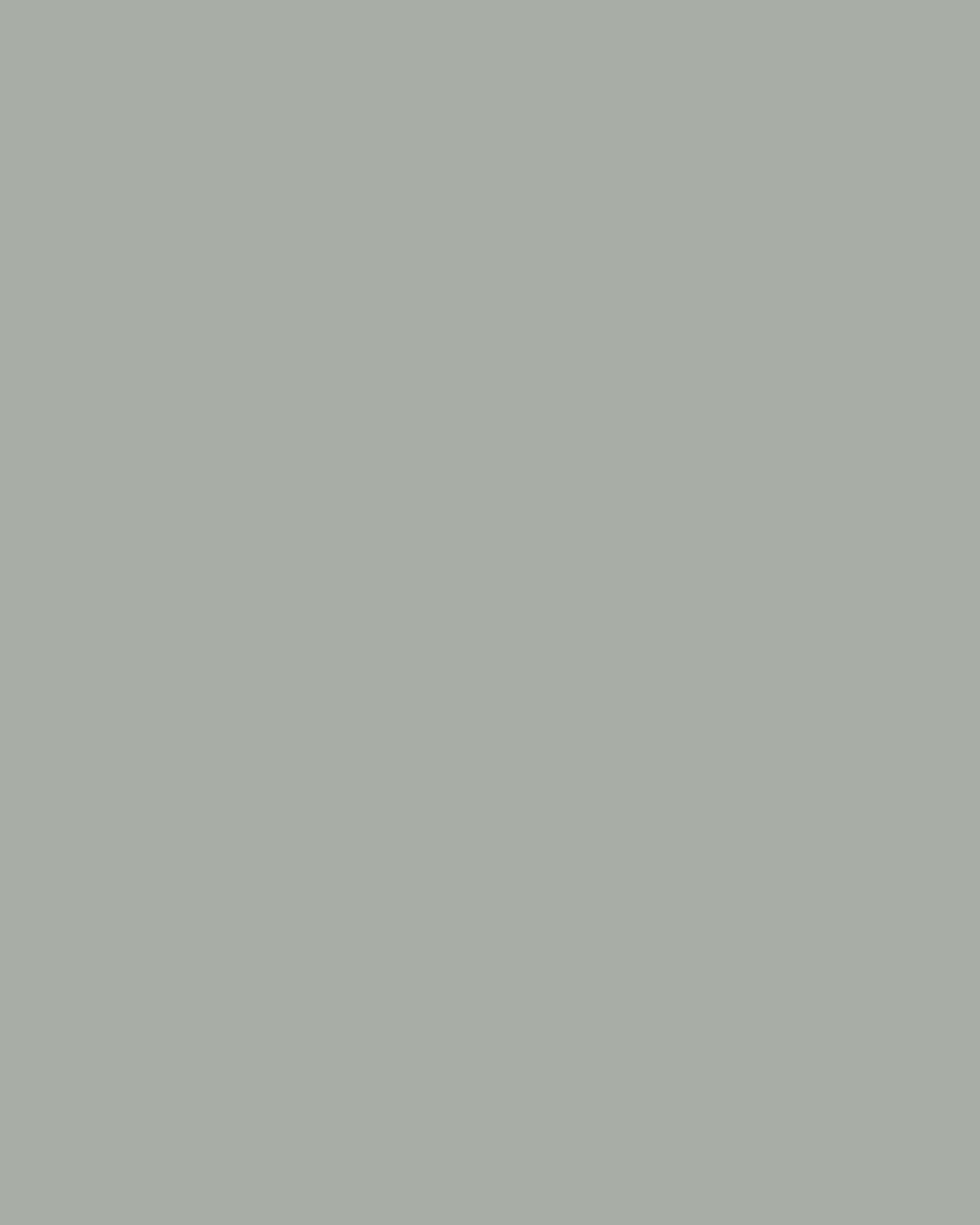 Smooth Modal Satin Petticoat Main image