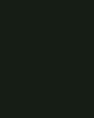 Easy Light Busy Lizzie Petticoat