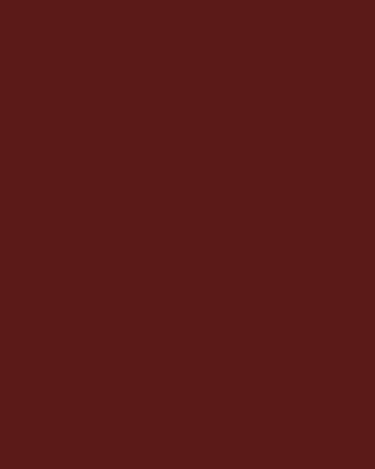 Smooth Modal Satin Petticoat Main image