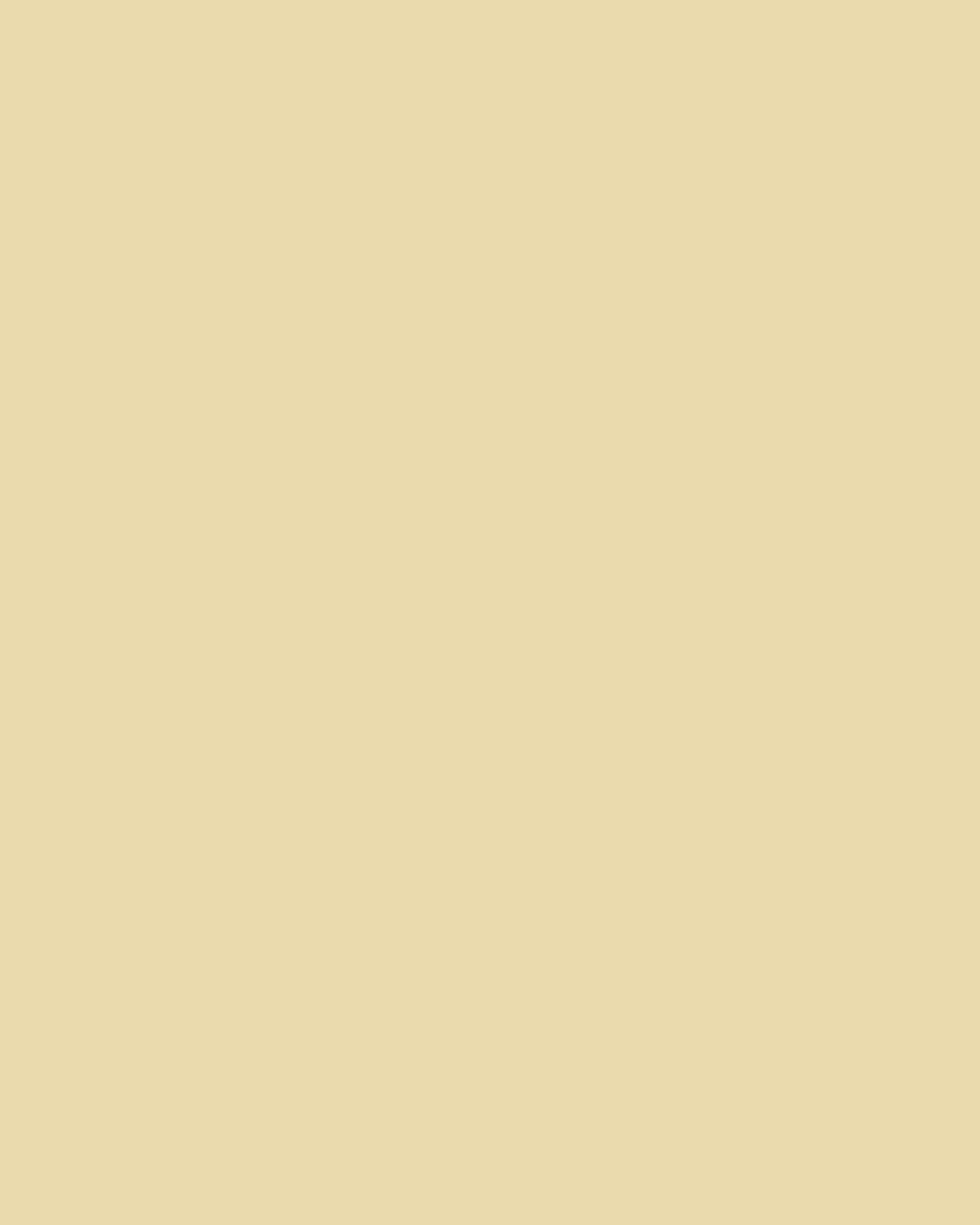 Fine Pure Cotton Satin Petticoat Main image