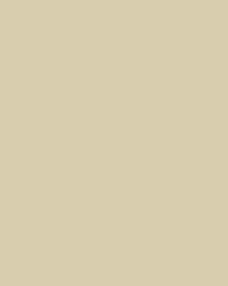 Smooth Modal Satin Petticoat