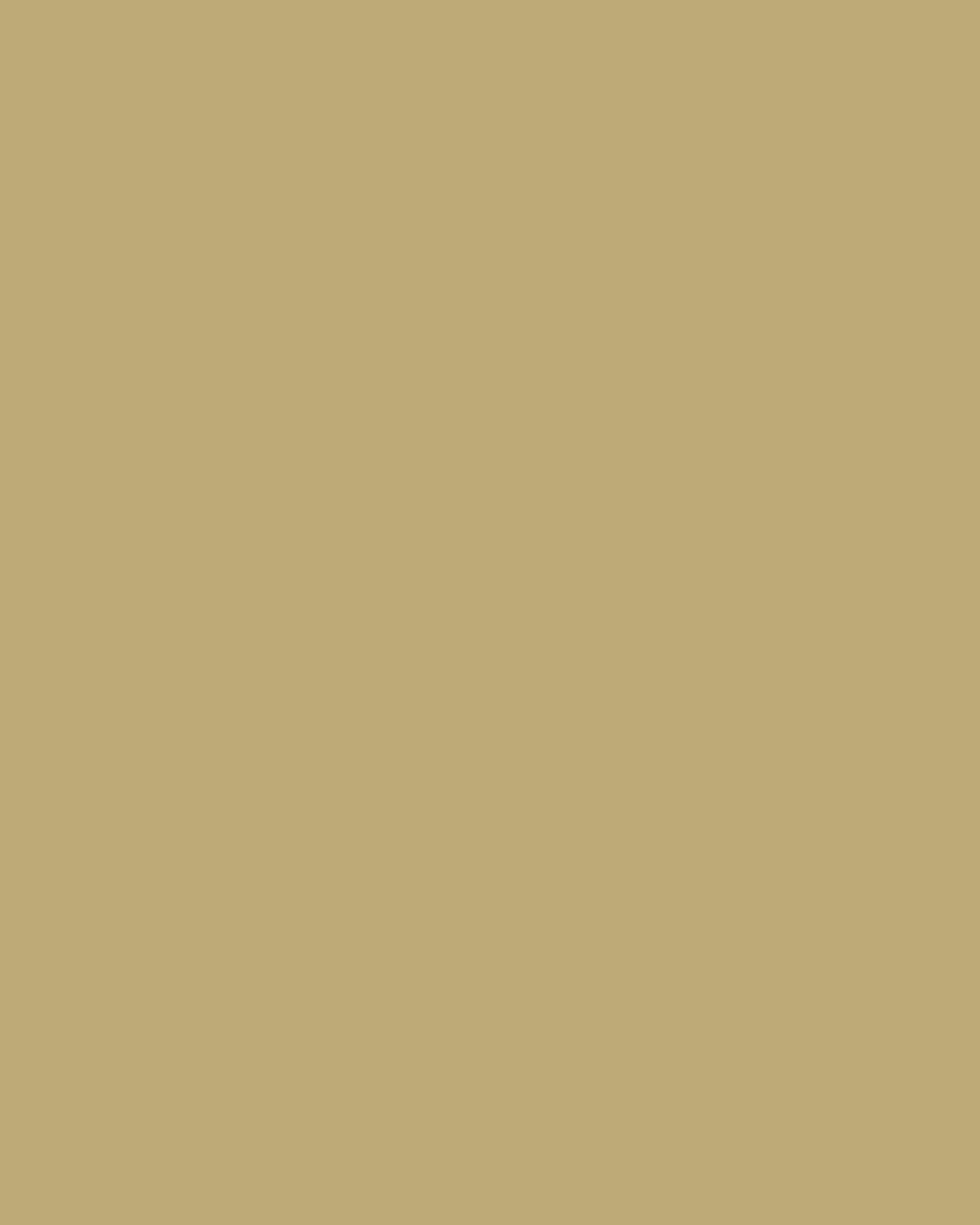 Fine Pure Cotton Satin Petticoat Main image