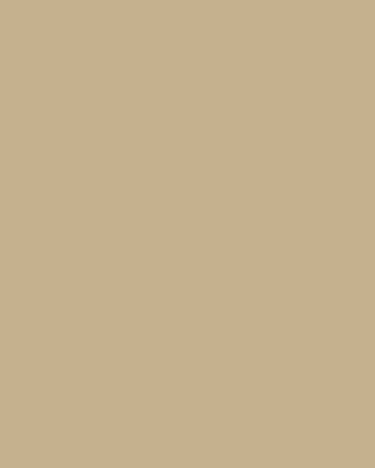 Smooth Modal Satin Petticoat Main image