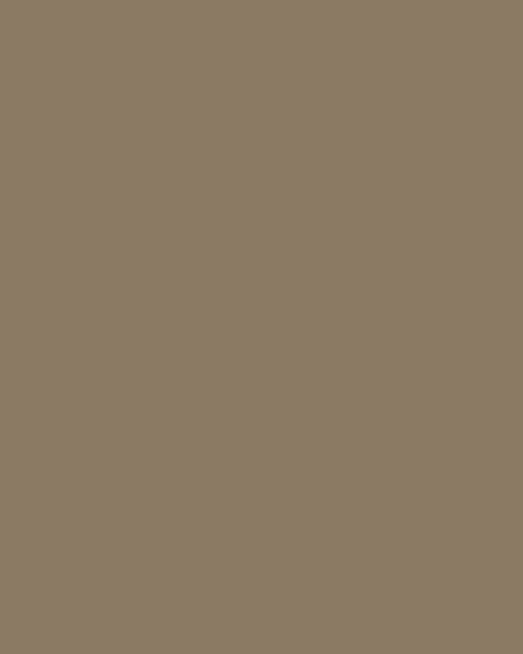Smooth Modal Satin Petticoat