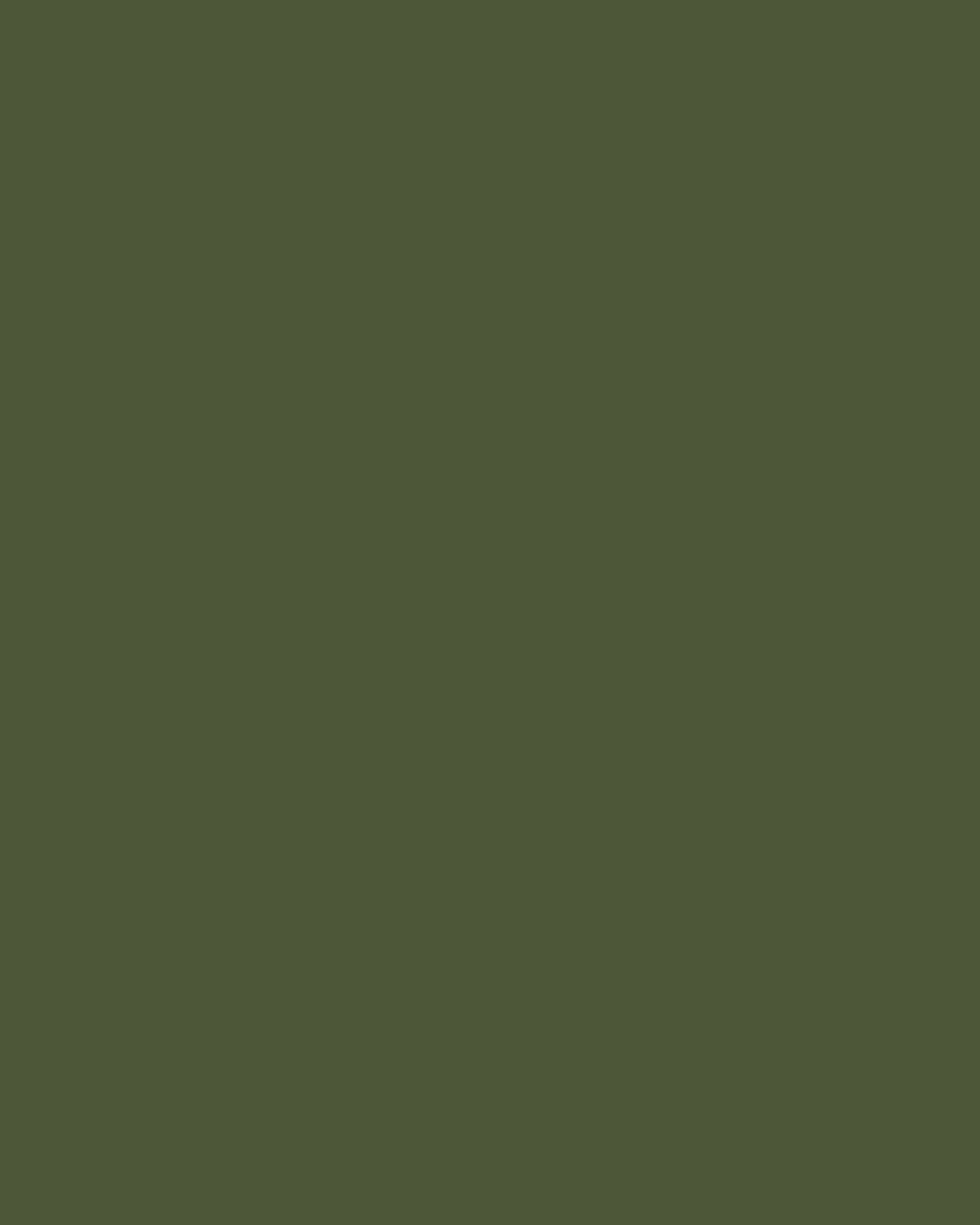Smooth Modal Satin Petticoat