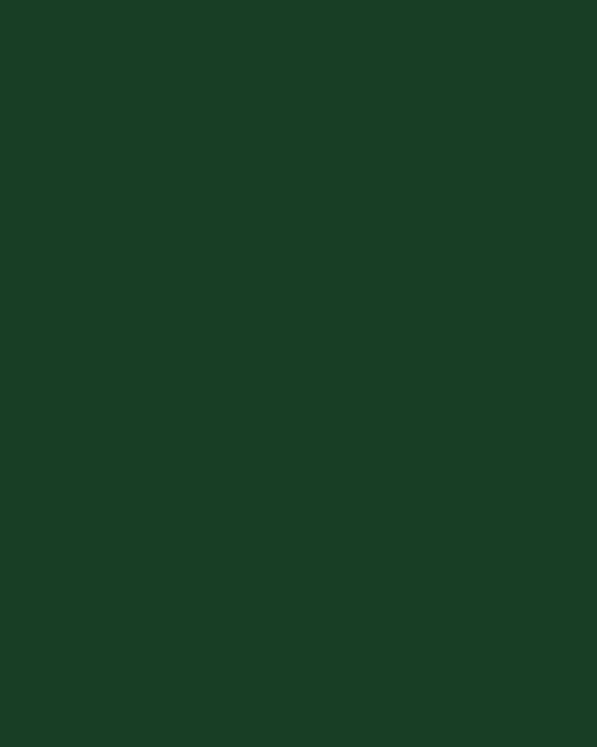 Smooth Modal Satin Petticoat Main image