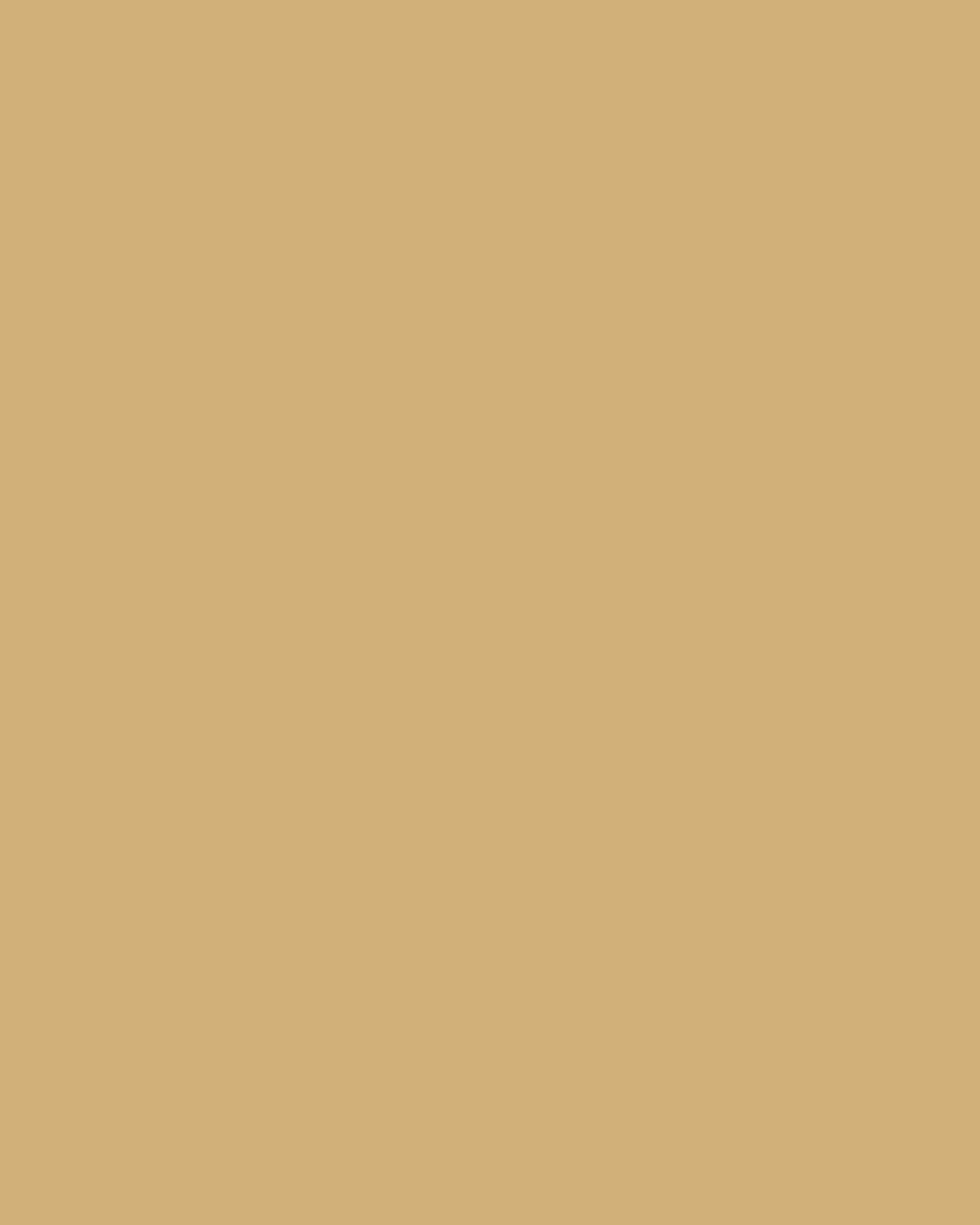 Smooth Modal Satin Petticoat