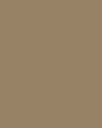 Smooth Modal Satin Petticoat